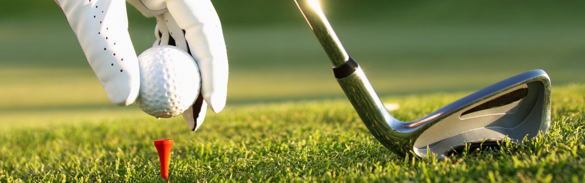 Drivers Shop -COBRA Shop the golf house 240108092214 240110140030